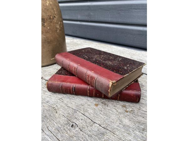 Lot de 2 livres anciens bordeaux