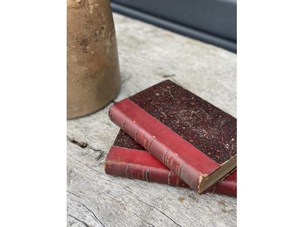 Lot de 2 livres anciens bordeaux