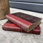 Lot de 2 livres anciens bordeaux