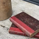 Lot de 2 livres anciens bordeaux
